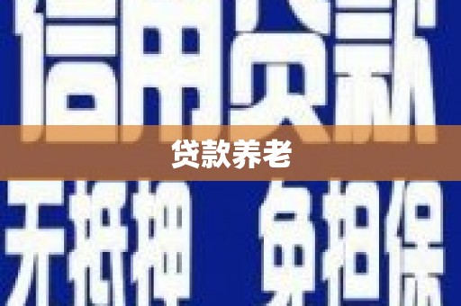 桃园贷款养老