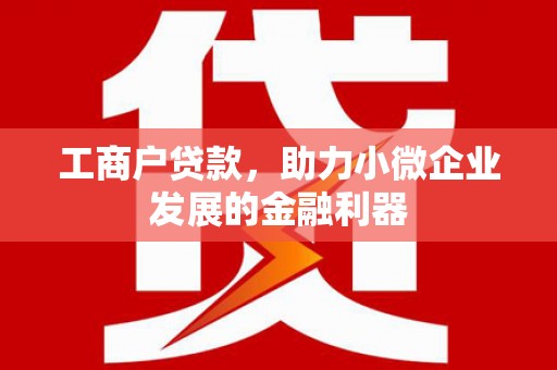 桃园工商户贷款，助力小微企业发展的金融利器