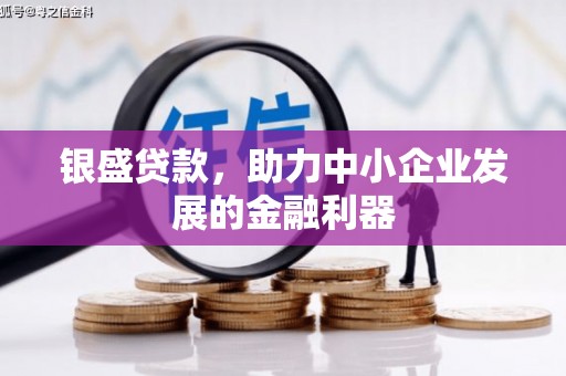 桃园银盛贷款，助力中小企业发展的金融利器