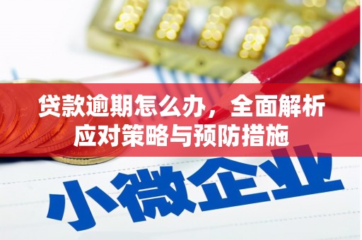 桃园贷款逾期怎么办，全面解析应对策略与预防措施