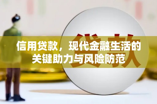 桃园信用贷款，现代金融生活的关键助力与风险防范