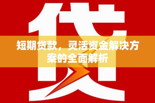 桃园短期贷款，灵活资金解决方案的全面解析