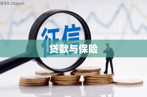 桃园贷款与保险