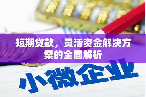 桃园短期贷款，灵活资金解决方案的全面解析