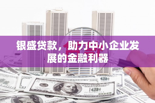 桃园银盛贷款，助力中小企业发展的金融利器
