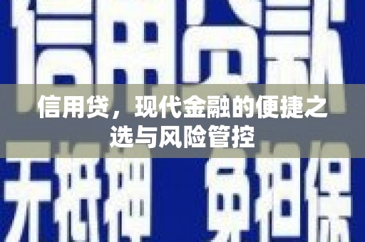 桃园信用贷，现代金融的便捷之选与风险管控