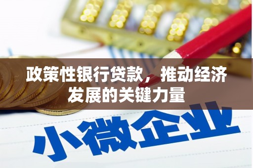 桃园政策性银行贷款，推动经济发展的关键力量