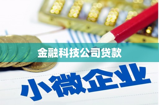 桃园金融科技公司贷款