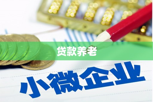 桃园贷款养老