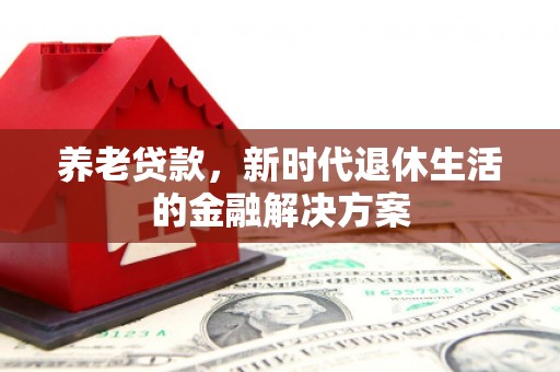 桃园养老贷款，新时代退休生活的金融解决方案
