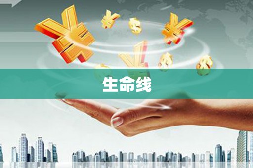 桃园生命线