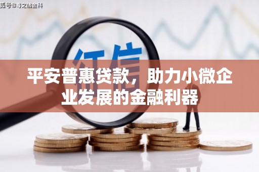 桃园平安普惠贷款，助力小微企业发展的金融利器