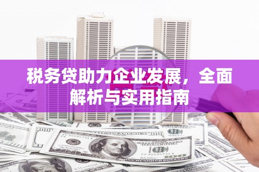 桃园税务贷助力企业发展，全面解析与实用指南