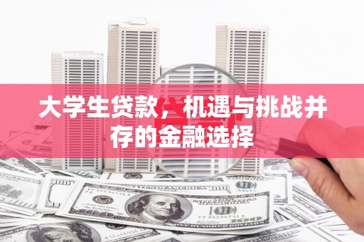 桃园大学生贷款，机遇与挑战并存的金融选择