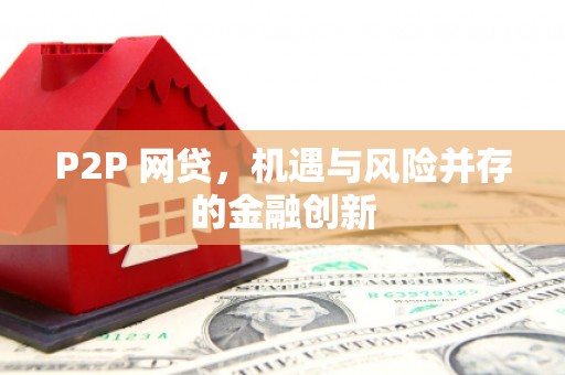桃园P2P 网贷，机遇与风险并存的金融创新