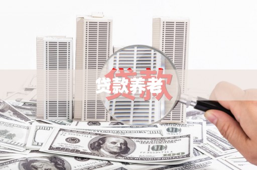 桃园贷款养老
