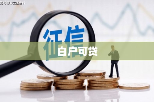 桃园白户可贷