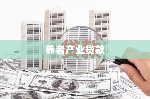 桃园养老产业贷款