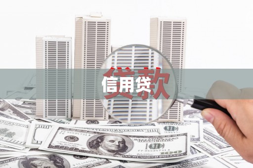 桃园信用贷