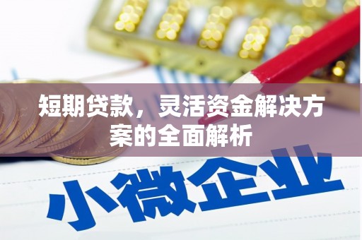 桃园短期贷款，灵活资金解决方案的全面解析