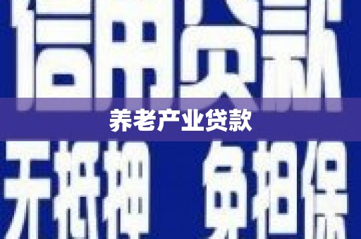 桃园养老产业贷款
