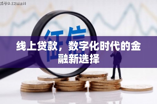 桃园线上贷款，数字化时代的金融新选择