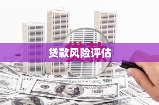 桃园贷款风险评估
