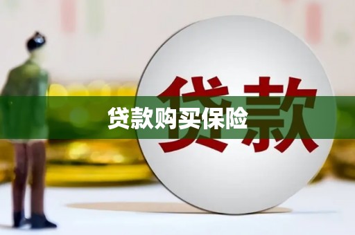 桃园贷款购买保险