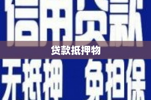 桃园贷款抵押物