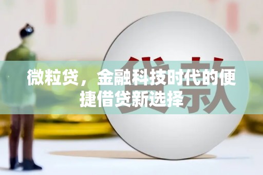 桃园微粒贷，金融科技时代的便捷借贷新选择