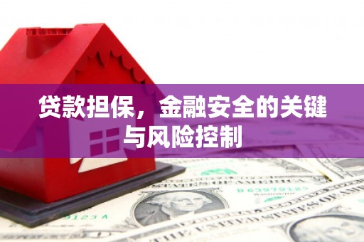 桃园贷款担保，金融安全的关键与风险控制