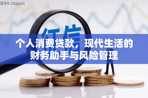 桃园个人消费贷款，现代生活的财务助手与风险管理