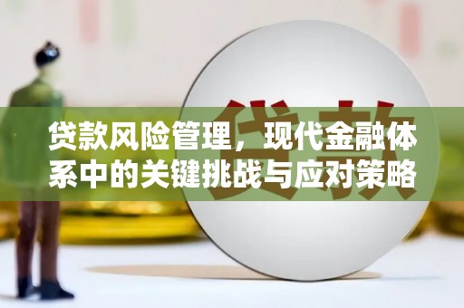桃园贷款风险管理，现代金融体系中的关键挑战与应对策略