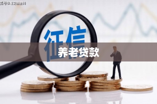 桃园养老贷款