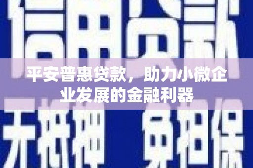 桃园平安普惠贷款，助力小微企业发展的金融利器