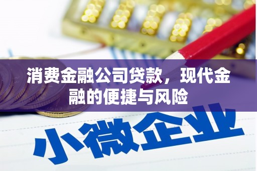 桃园消费金融公司贷款，现代金融的便捷与风险