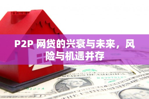 桃园P2P 网贷的兴衰与未来，风险与机遇并存