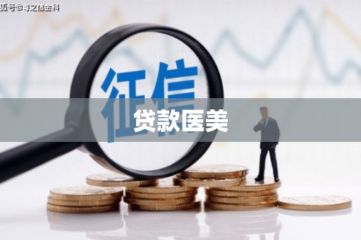 桃园贷款医美
