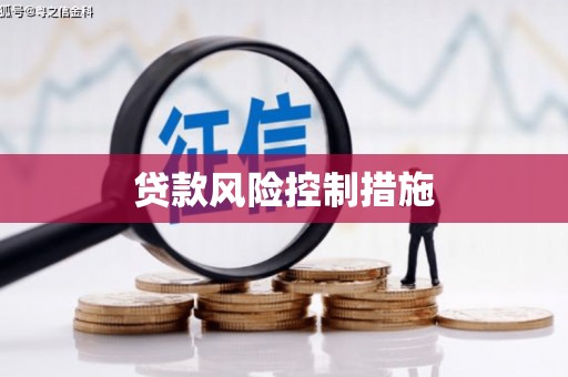 桃园贷款风险控制措施